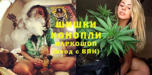 ПСИЛОЦИБИНОВЫЕ ГРИБЫ Армянск