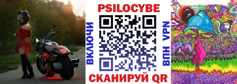 Псилоцибиновые грибы Cubensis Электрогорск