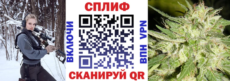 Бошки марихуана MAZAR  даркнет сайт  MEGA ONION  Электрогорск 